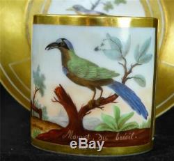 M017 Antique Old Paris Porcelain Ornithological Cup & Saucer Momot & Pingon