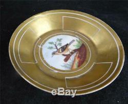 M017 Antique Old Paris Porcelain Ornithological Cup & Saucer Momot & Pingon