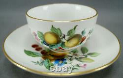 Meissen Hand Painted Apples Cherries Floral & Gold Tea Cup & Saucer C. 1860-1924