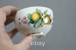 Meissen Hand Painted Apples Cherries Floral & Gold Tea Cup & Saucer C. 1860-1924