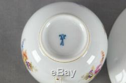 Meissen Hand Painted Floral Insects & Gold Tea Cup & Saucer Circa 1860-1924