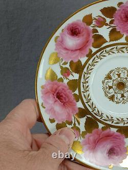 Meissen Hand Painted Pink Swansea Rose Pattern & Gold Tea Cup & Saucer