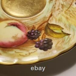 ORCHARD GOLD by AynsleyFooted CUP & SAUCER SetSigned N. Brunt