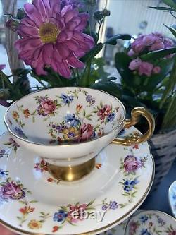 Old Royal bone china cup & saucer 1846 Est With gold base & handle hand painted