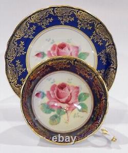 PARAGON FLOATING PINK ROSE CUP & SAUCER Cobalt Heavy Gold Gilding c1938-52 AS IS
