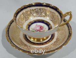 PARAGON PINK ROSE on COBALT BAND CUP & SAUCER Heavy Gold Gilding c1938-1952 MINT
