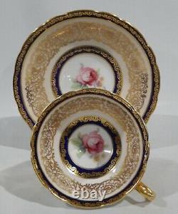 PARAGON PINK ROSE on COBALT BAND CUP & SAUCER Heavy Gold Gilding c1938-1952 MINT