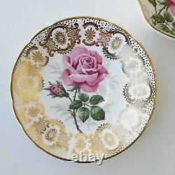 Paragon By Appointmen Her Majesty The Queen Tea Cup & Saucer Pink Rose Gold Lace