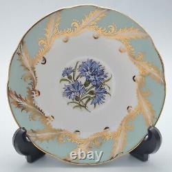 Paragon Cup And Saucer Green Sage With Blue Cornflower Gold Trim Royal Warrant