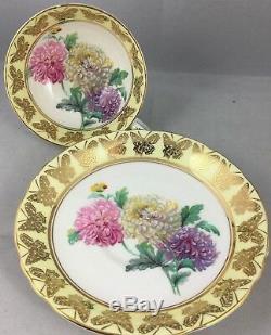 Paragon Cup & Saucer Chrysanthemum Gold Yellow Butterfly 3629 Purple Pink