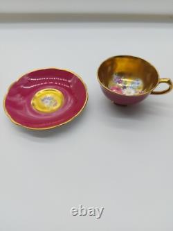 Paragon Double Warrant Floral Cabbage Rose Gold and Pink Cup/Saucer G6591