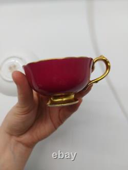 Paragon Double Warrant Floral Cabbage Rose Gold and Pink Cup/Saucer G6591