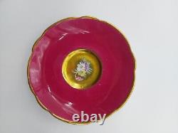 Paragon Double Warrant Floral Cabbage Rose Gold and Pink Cup/Saucer G6591