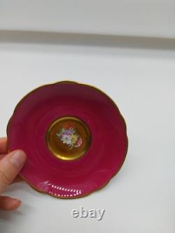 Paragon Double Warrant Floral Cabbage Rose Gold and Pink Cup/Saucer G6591