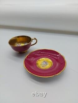 Paragon Double Warrant Floral Cabbage Rose Gold and Pink Cup/Saucer G6591