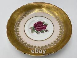 Paragon England Red Rose on Pink Background Golden Tea Cup & Saucer Set