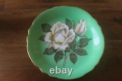 Paragon Green White Cabbage Roses Gold Teacup Tea Cup Saucer
