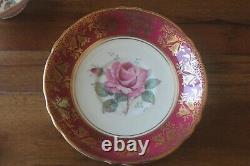 Paragon Large Cabbage Floating Rose Red Burgundy Gold Teacup Tea cup Saucer