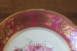 Paragon Large Cabbage Floating Rose Red Burgundy Gold Teacup Tea cup Saucer