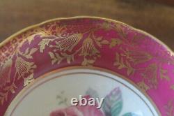 Paragon Large Cabbage Floating Rose Red Burgundy Gold Teacup Tea cup Saucer