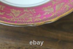 Paragon Large Cabbage Floating Rose Red Burgundy Gold Teacup Tea cup Saucer