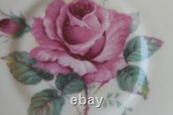 Paragon Large Cabbage Floating Rose Red Burgundy Gold Teacup Tea cup Saucer