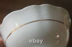 Paragon Large Cabbage Pink Roses on Black Blue Teacup Tea Cup Saucer gold 1