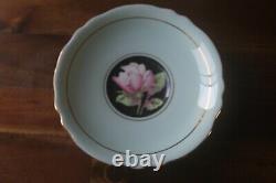 Paragon Large Cabbage Pink Roses on Black Blue Teacup Tea Cup Saucer gold 1