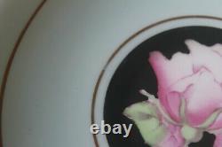 Paragon Large Cabbage Pink Roses on Black Blue Teacup Tea Cup Saucer gold 2