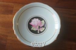 Paragon Large Cabbage Pink Roses on Black Blue Teacup Tea Cup Saucer gold 2