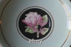 Paragon Large Cabbage Pink Roses on Black Blue Teacup Tea Cup Saucer gold 2