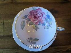 Paragon Large Pink Cabbage Rose gold Teacup Tea Cup Saucer set flowers