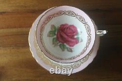 Paragon Large Red Cabbage Johnson Rose Pink Gold Trim Teacup Tea cup Saucer