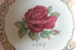 Paragon Large Red Cabbage Johnson Rose Pink Gold Trim Teacup Tea cup Saucer