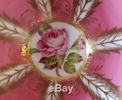 Paragon PorcelainH Rose Pink Feather Gold color Cup&Saucer Vintage Royal Doulton