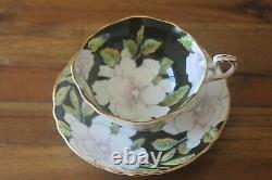 Paragon White Gardenias Black Gold Teacup Tea Cup Saucer Double Warrant