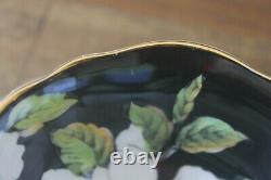 Paragon White Gardenias Black Gold Teacup Tea Cup Saucer Double Warrant