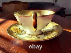 Paragon Yellow Roses Cup & Saucer Gold Trim By Appointment To Her Majesty c. 1952