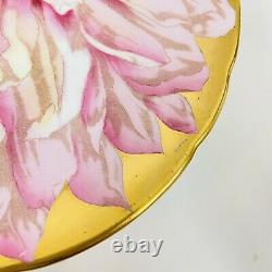 RARE Aynsley Pink Chrysanthemum & Butterfly Gold Tea Cup & Saucer England HTF