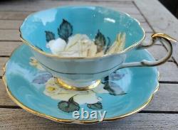 RARE Paragon Cabbage White Rose Turquoise Blue Gold Teacup Tea Cup Saucer A277