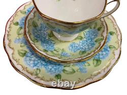 ROYAL ALBERT Floral Sentiments Love Tea Cup, Saucer, Plate HYDRANGEA NEW BOX