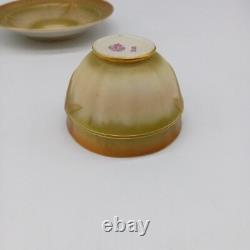 ROYAL WORCESTER Antique 1909 Aesthetic Movement Blush Ivory Bamboo Tea Cup
