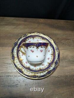 Rare Antique Paragon Star china company tea cup saucer plate early 1900s England