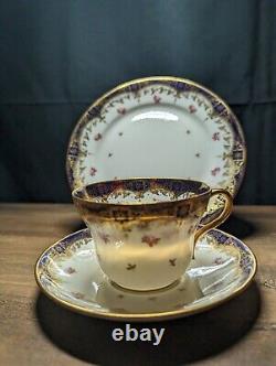 Rare Antique Paragon Star china company tea cup saucer plate early 1900s England