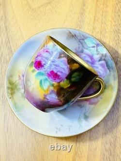 Rare Antique Royal Doulton Hand Painted Cup & Saucer Signed E. Percy