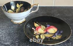Rare BLACK AYNSLEY Orchard Gold 1174 porcelain CUP & SAUCER DUO