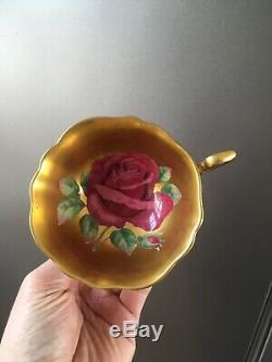 Rare Beautiful Paragon A1572/1 Red Cabbage Rose Gilded Cabinet Tea Cup & Saucer