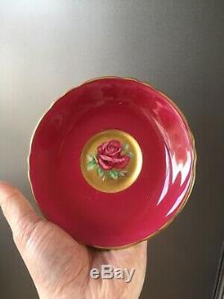 Rare Beautiful Paragon A1572/1 Red Cabbage Rose Gilded Cabinet Tea Cup & Saucer