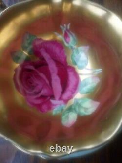 Rare Beautiful Paragon A. 2046/16 Red Cabbage Rose Gilded Cabinet Tea Cup& Saucer