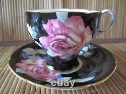 Rare Double Warrant Paragon Pink Cabbage Rose on Black Gold Cup & Saucer